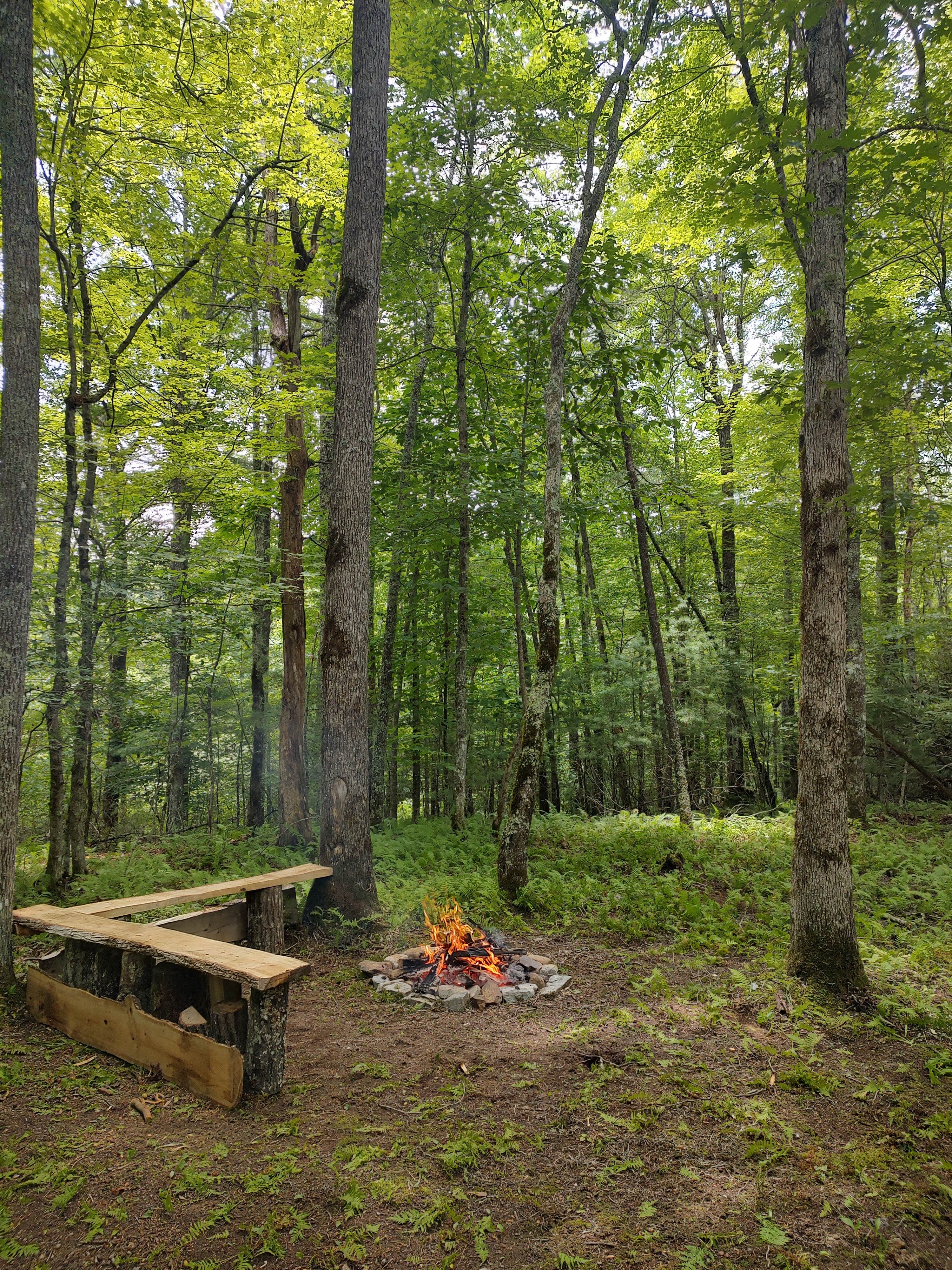 Camping near Down by the River Campground - 55+: Tranquil Highlands Campground, Pineola, North Carolina