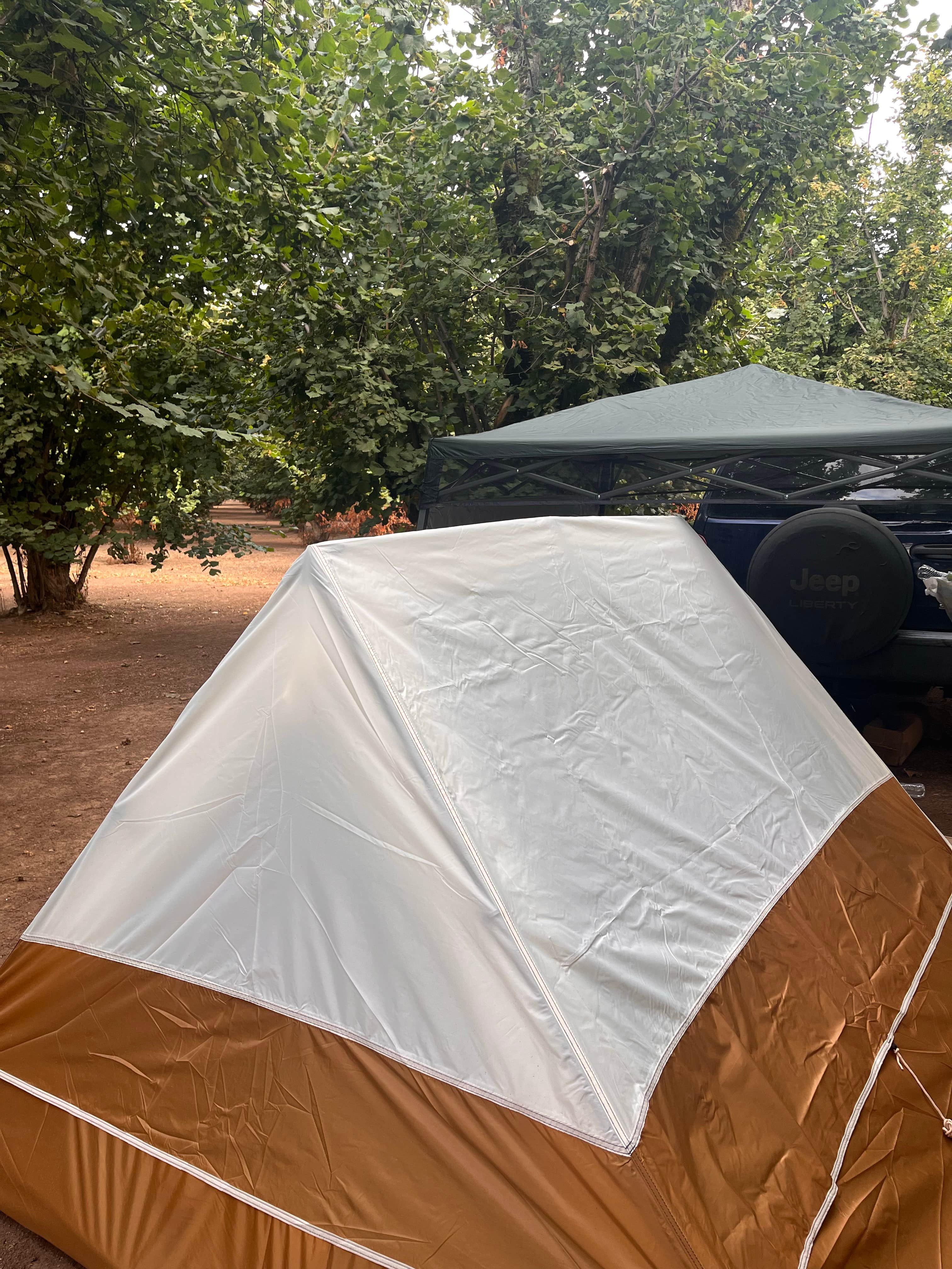 Camper-submitted photo at Tranquil Orchards and Wine Tours near Donald, OR