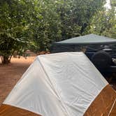 Review photo of Tranquil Orchards and Wine Tours by Santino S., August 17, 2025