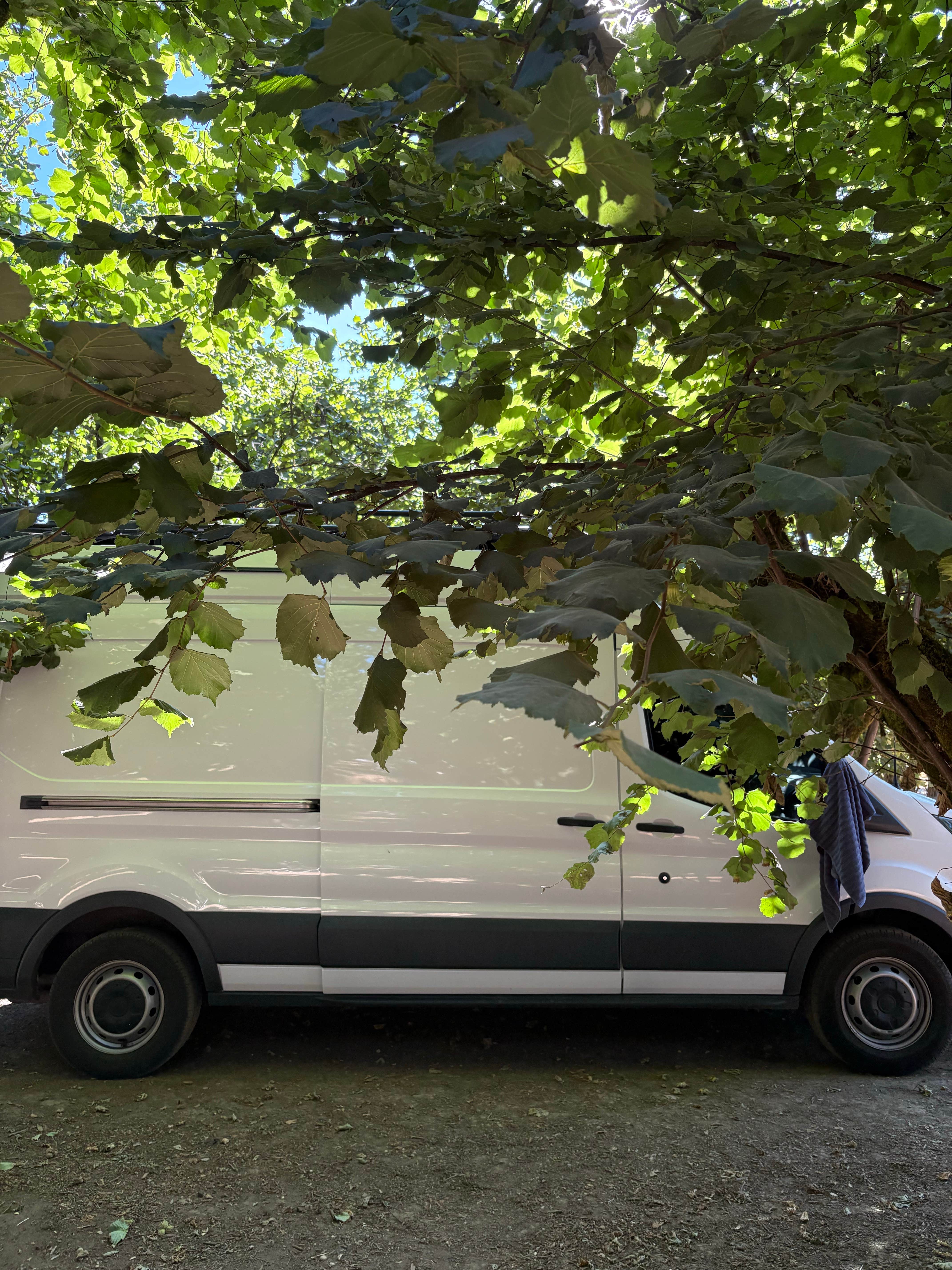 Camper-submitted photo at Tranquil Orchards and Wine Tours near Donald, OR