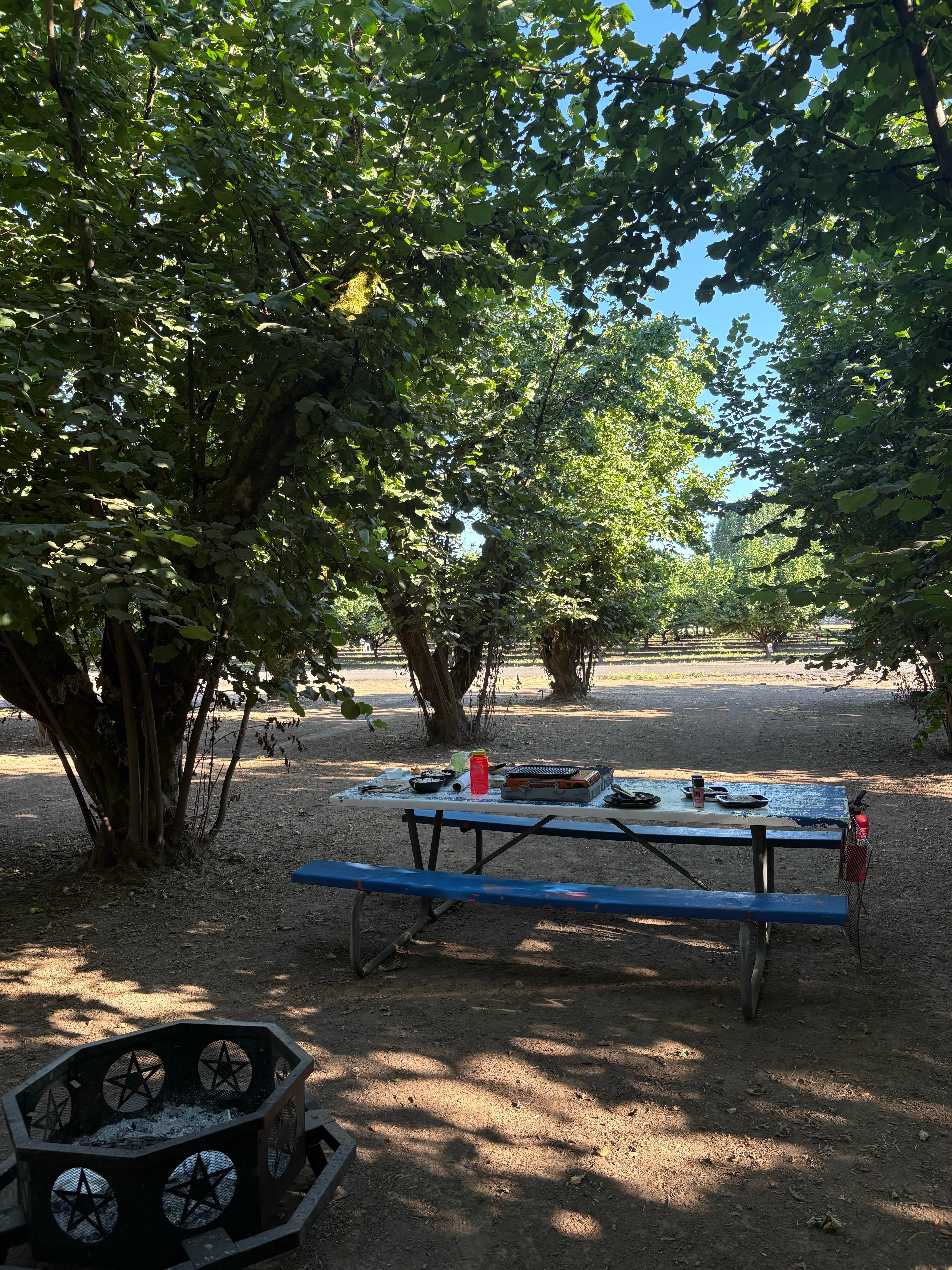 Camper-submitted photo at Tranquil Orchards and Wine Tours near Donald, OR