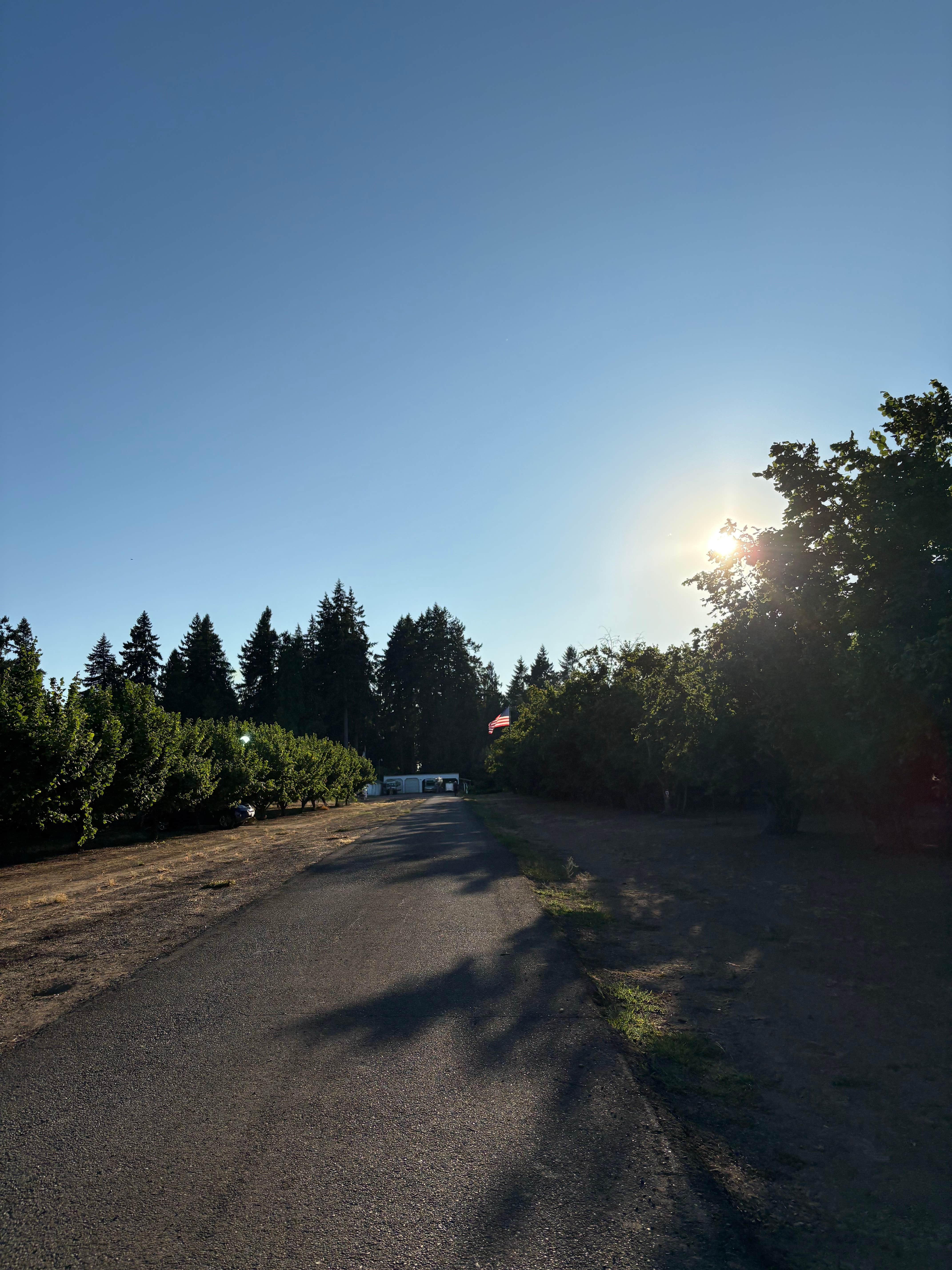 Camper submitted image from Tranquil Orchards and Wine Tours - 3