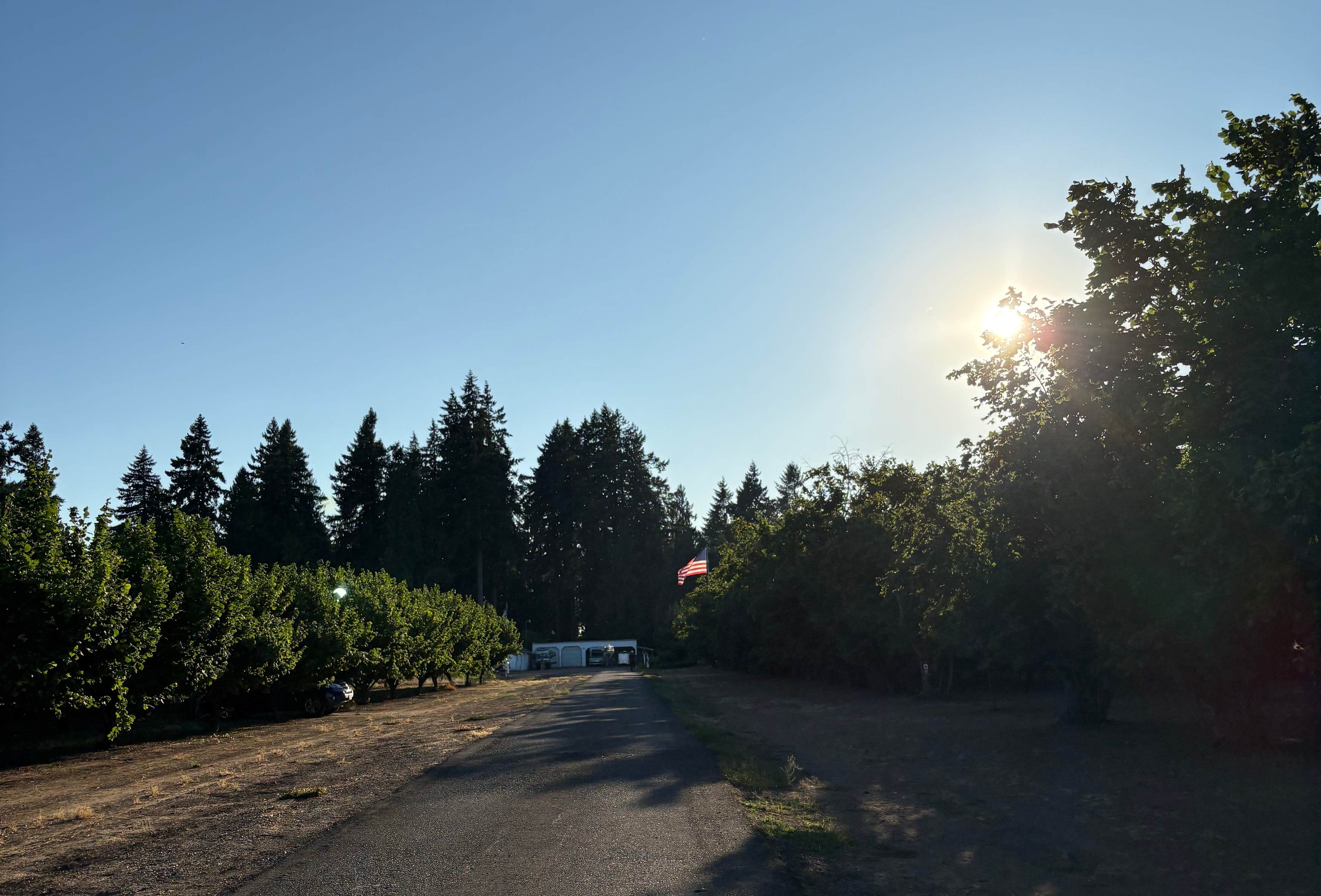 Donald Or Tranquil Orchard and Wine Tours Camping | Donald, Oregon