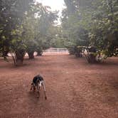 Review photo of Tranquil Orchards and Wine Tours by Santino S., August 17, 2025