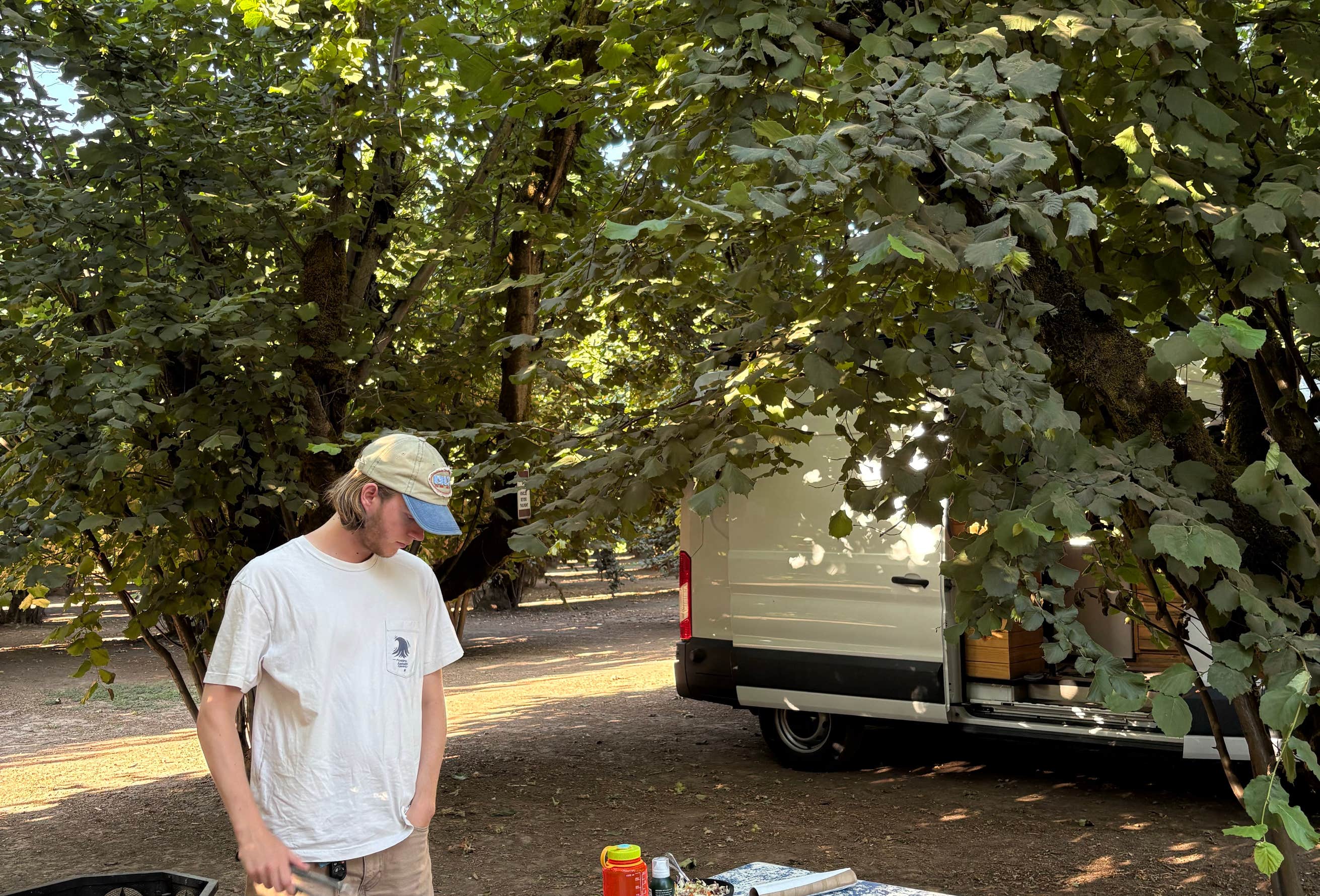 Donald Or Tranquil Orchard and Wine Tours Camping | Donald, Oregon