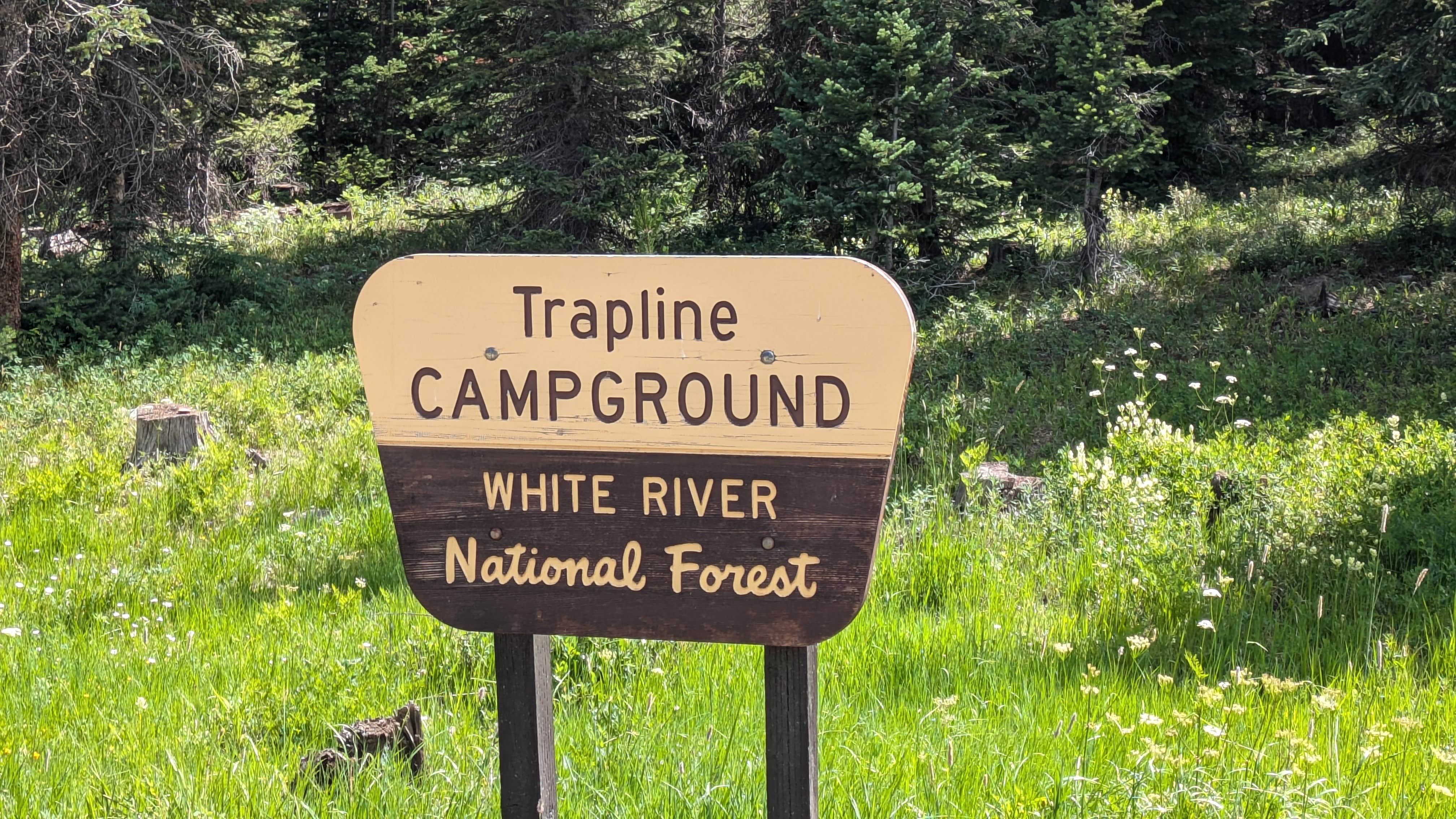 Camper submitted image from Trapline Campground - 2
