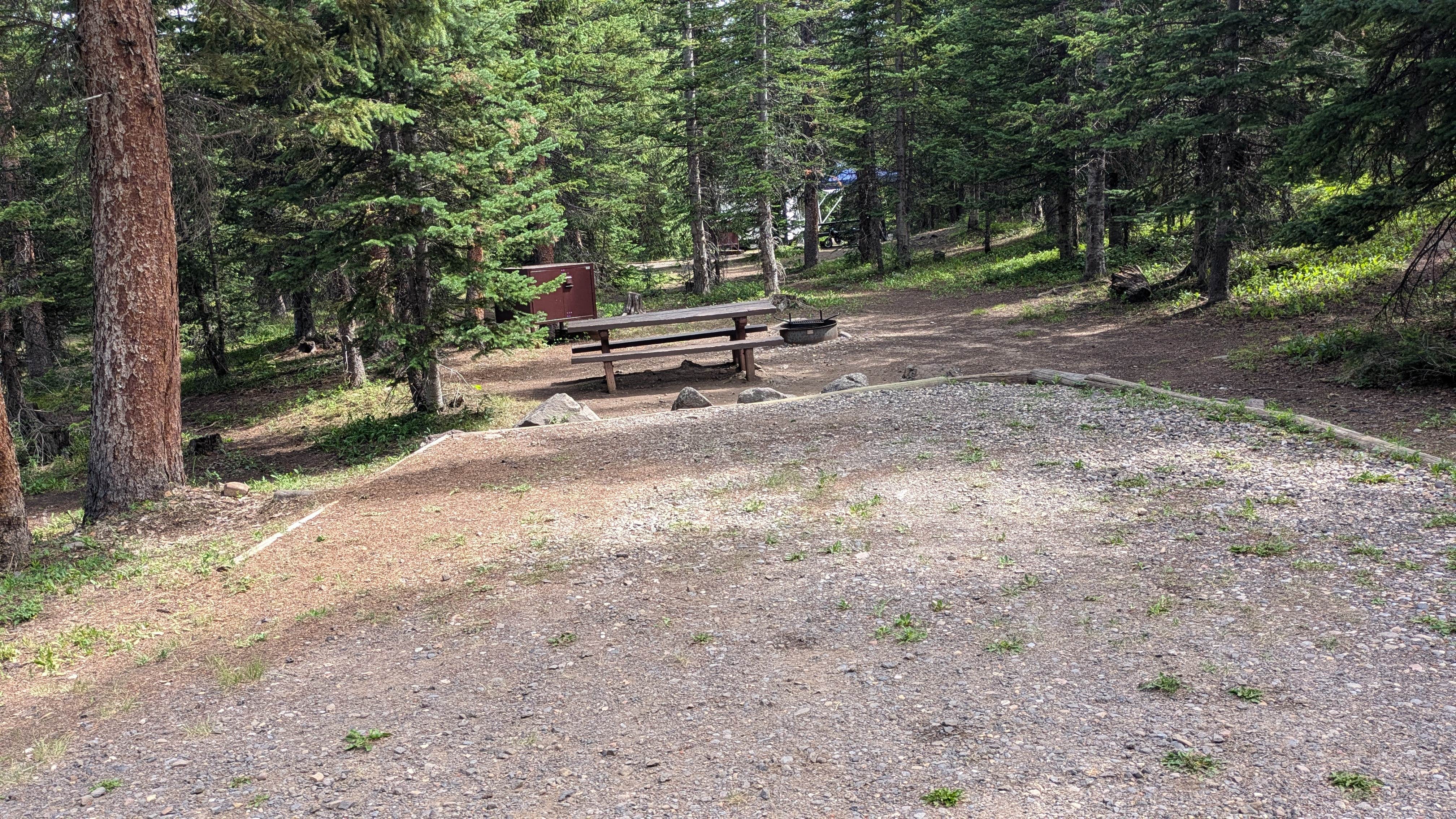 Camper submitted image from Trapline Campground - 4