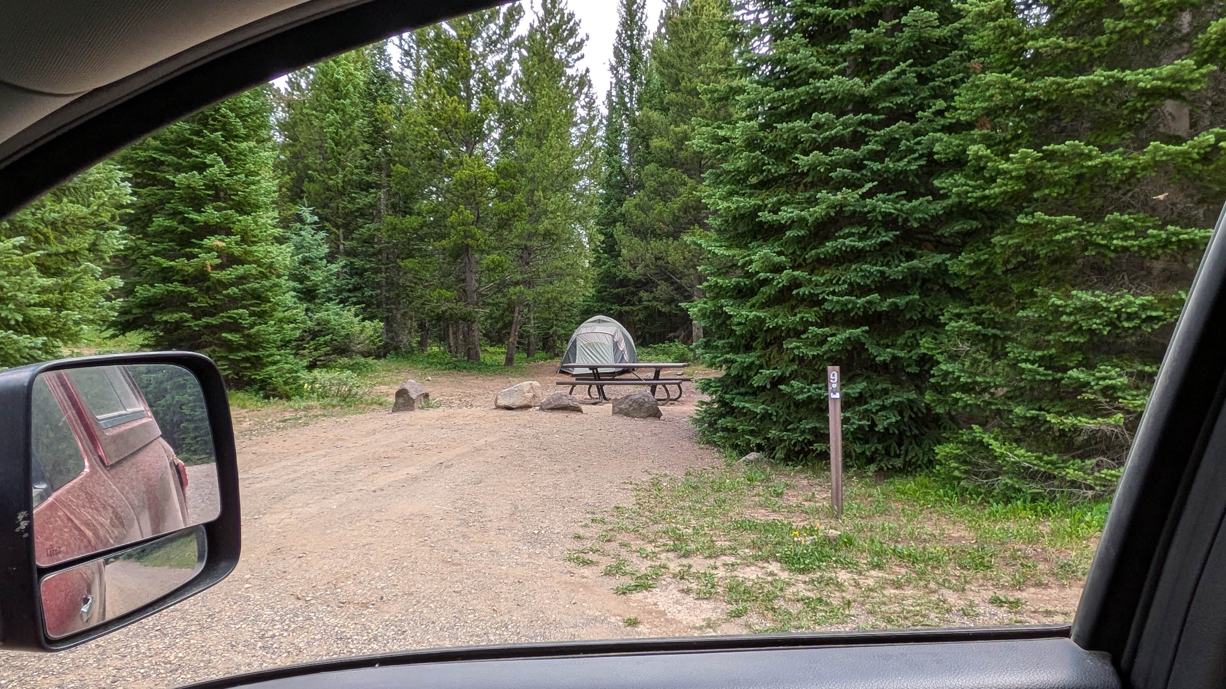 Camper submitted image from Trapline Campground - 1