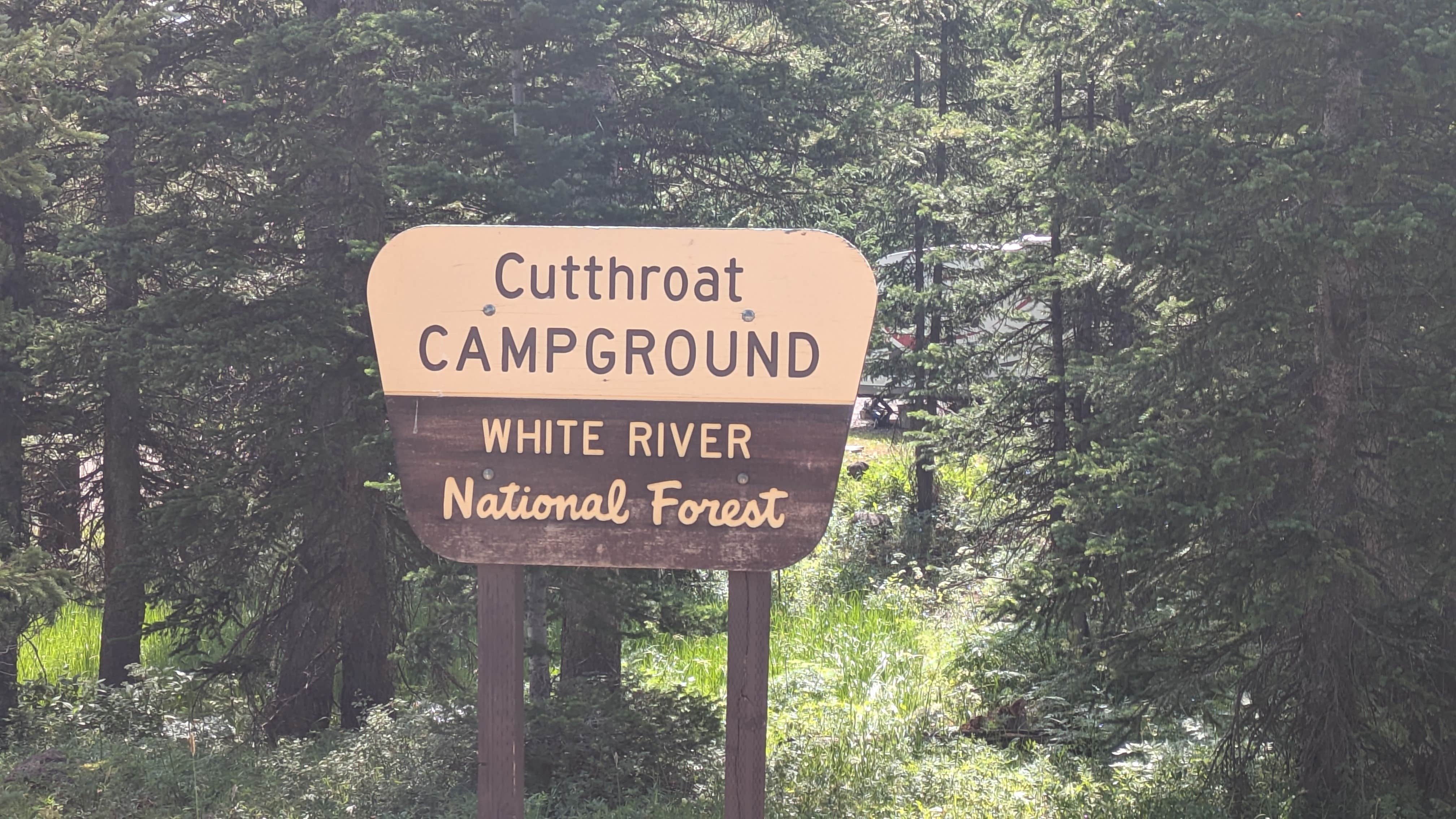 Camper submitted image from Trappers Lake Cutthroat Campground - 4