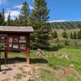 Review photo of Trappers Lake Cutthroat Campground by Greg L., July 27, 2024