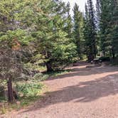 Review photo of Trappers Lake Cutthroat Campground by Greg L., July 27, 2024