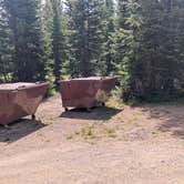 Review photo of Trappers Lake Cutthroat Campground by Greg L., July 27, 2024