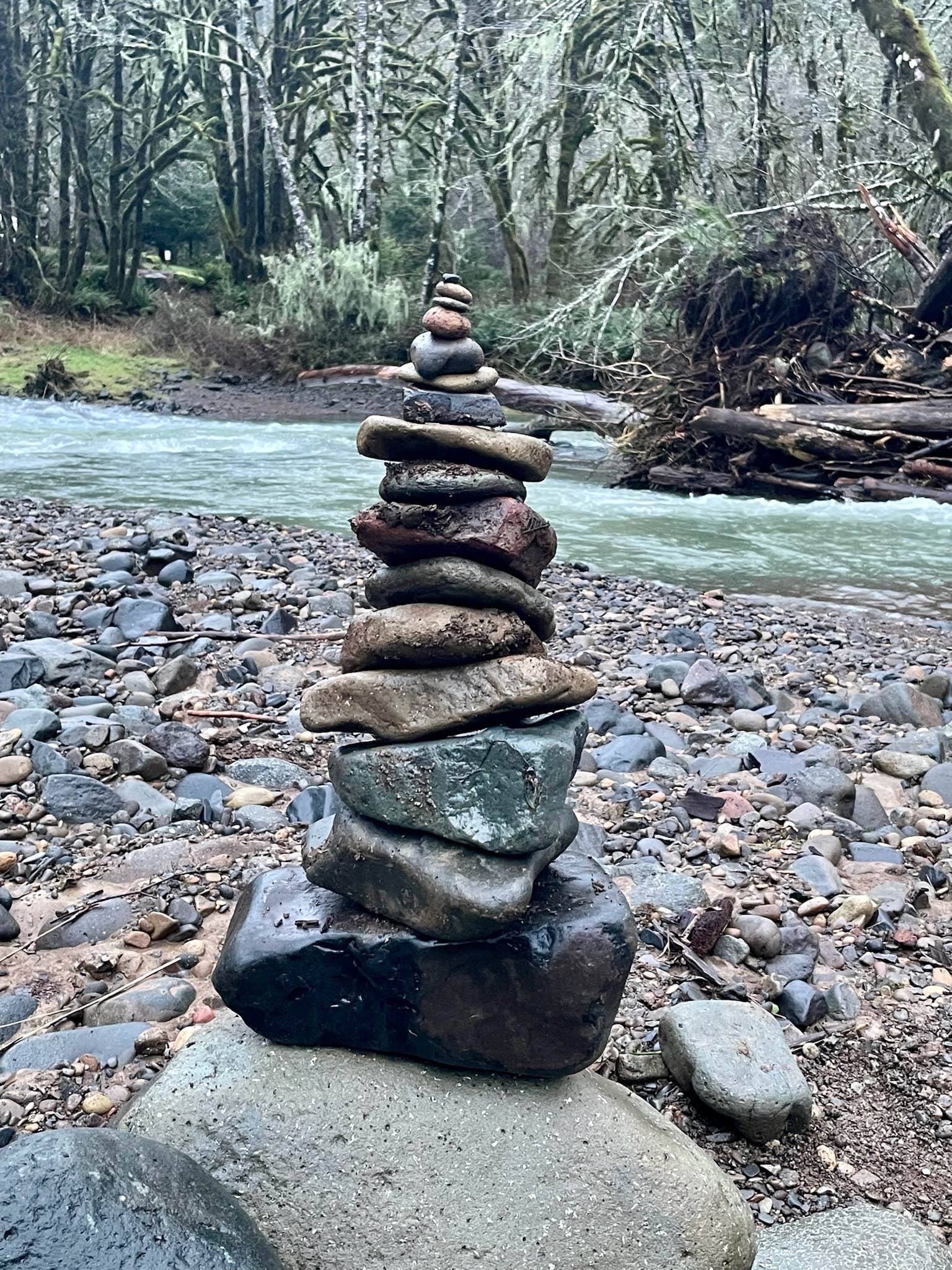 Camper-submitted photo at Trask River Campsites near Lafayette, OR