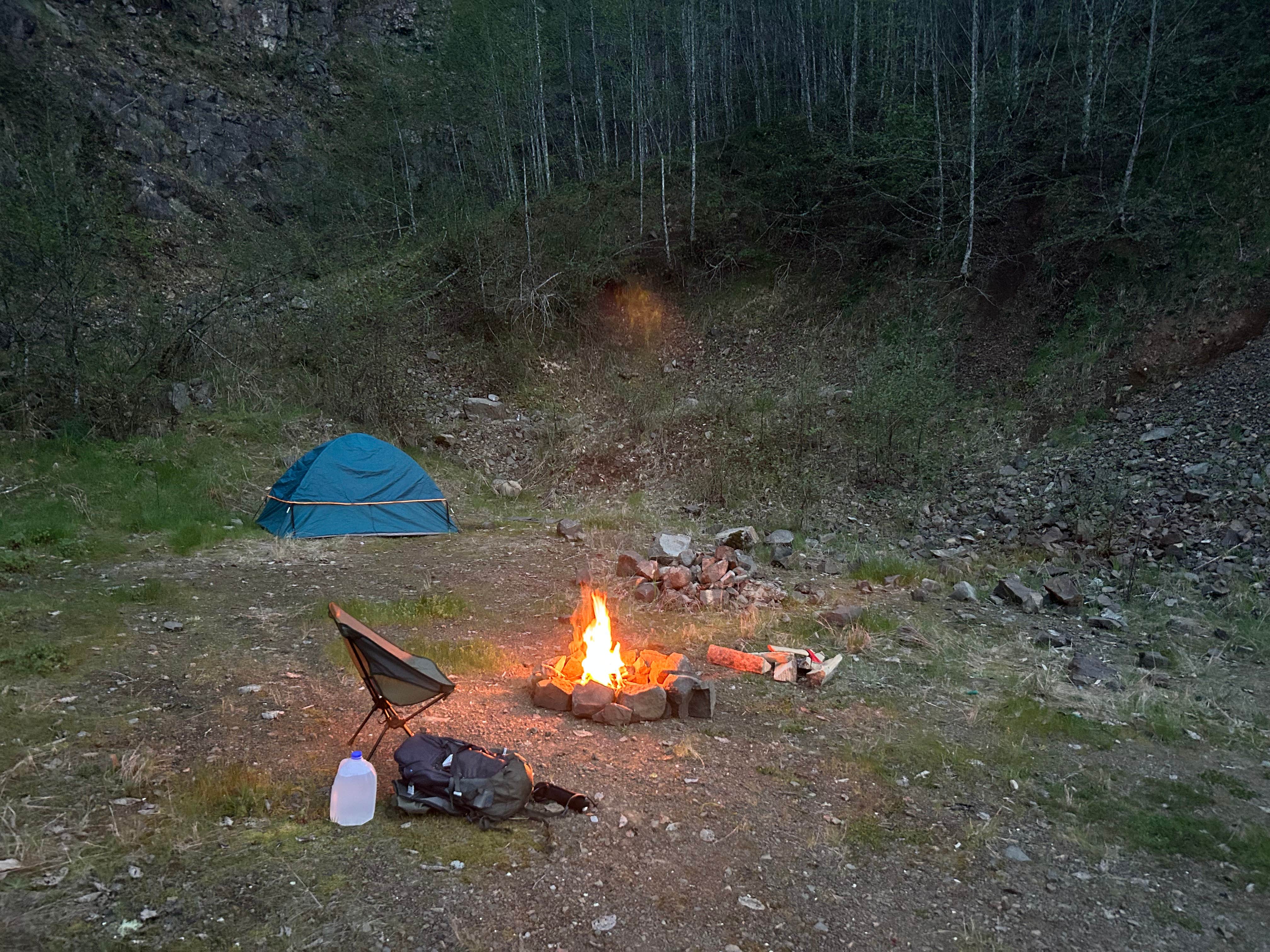 Camper submitted image from Trask River Campsites - 1