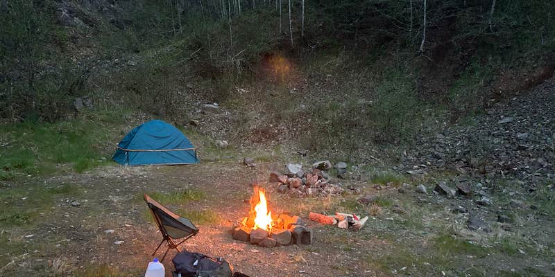 Camper submitted image from Trask River Campsites