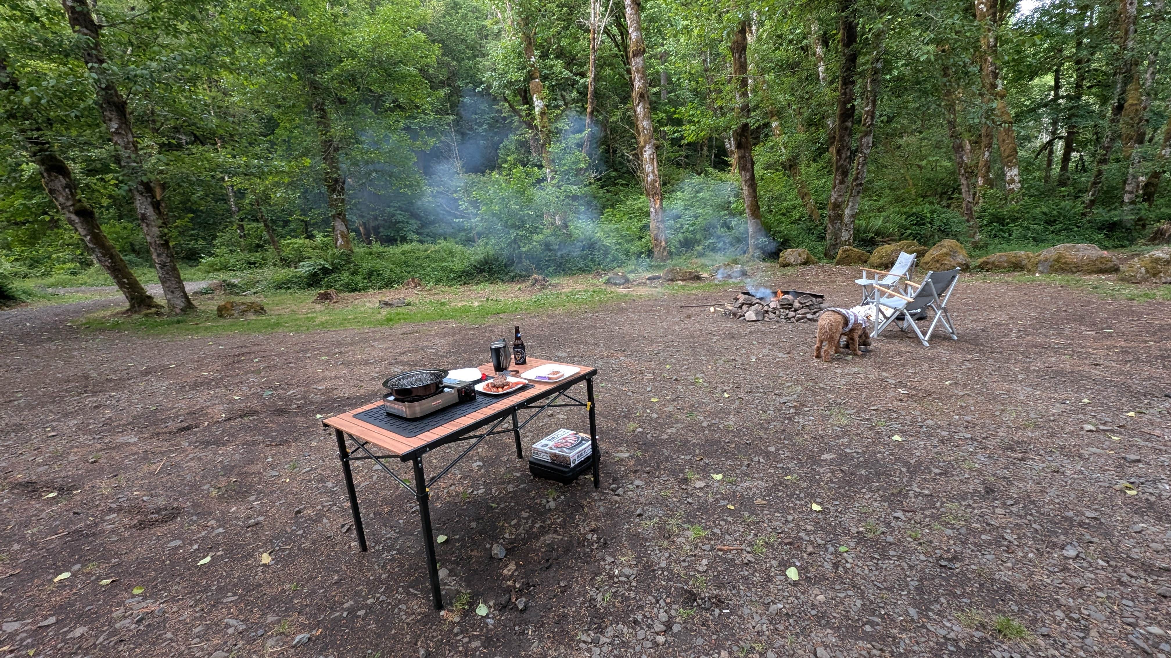 Camper submitted image from Trask River Campsites - 5