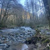 Review photo of Trask River Campsites by Shawn V., January 27, 2026