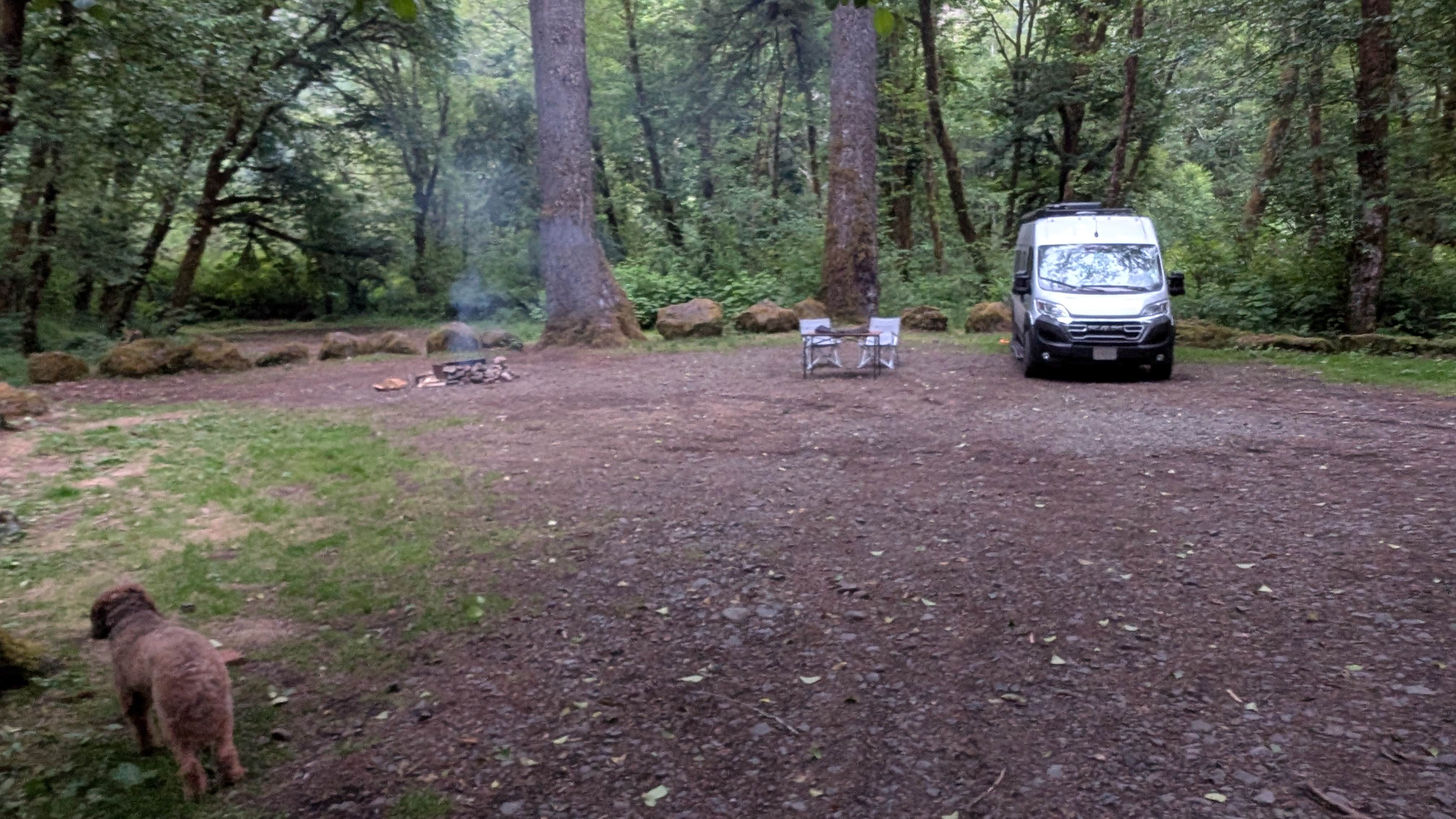 Mike F.'s photo of camping with pets at Trask River Campsites near Tillamook, OR