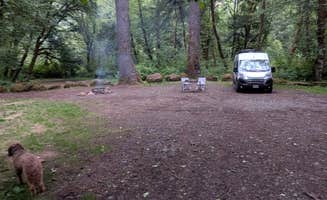 Mike F.'s photo of camping with pets at Trask River Campsites near Tillamook, OR