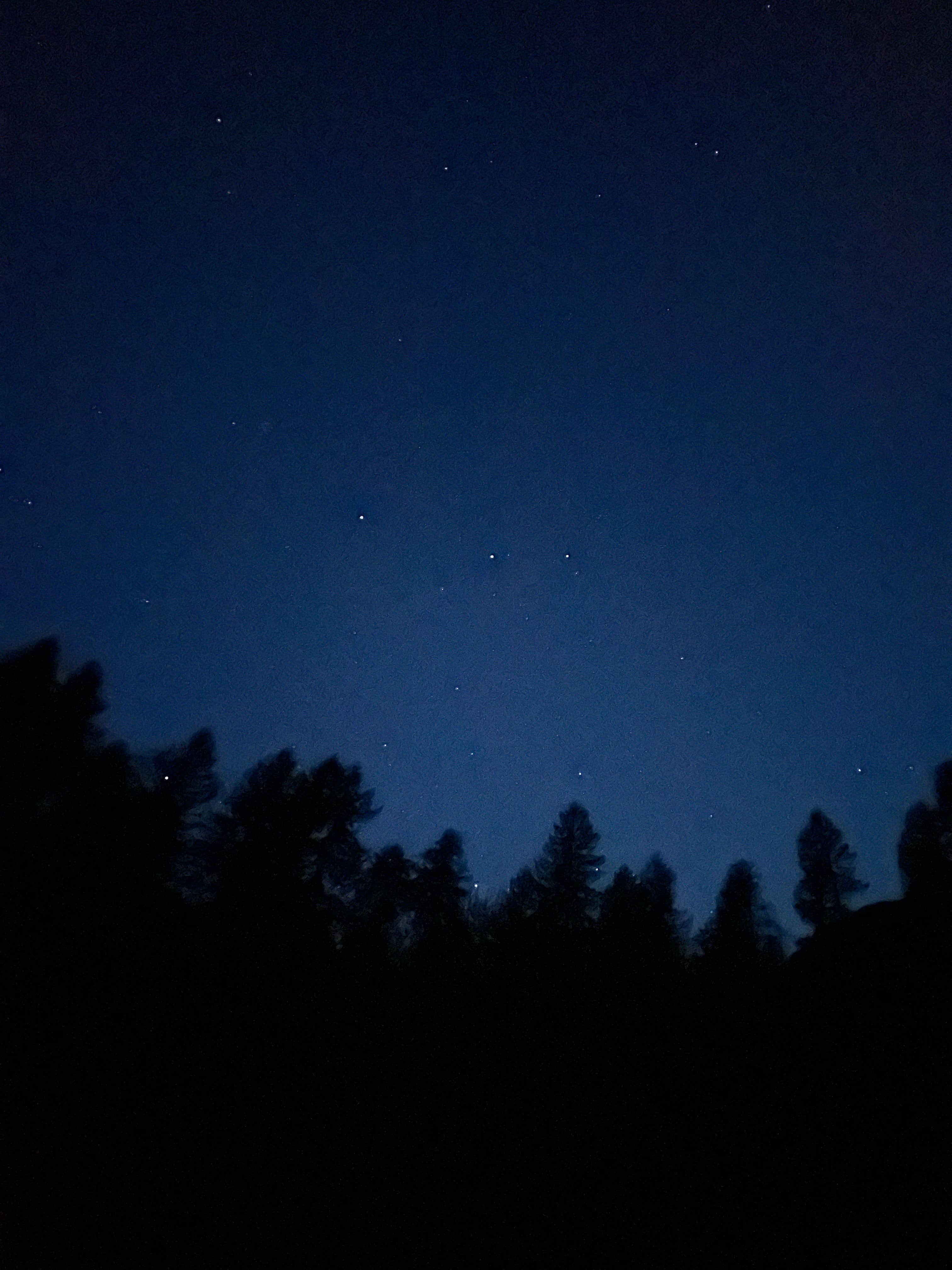 Camper-submitted photo at Trask River Campsites near Hillsboro, OR