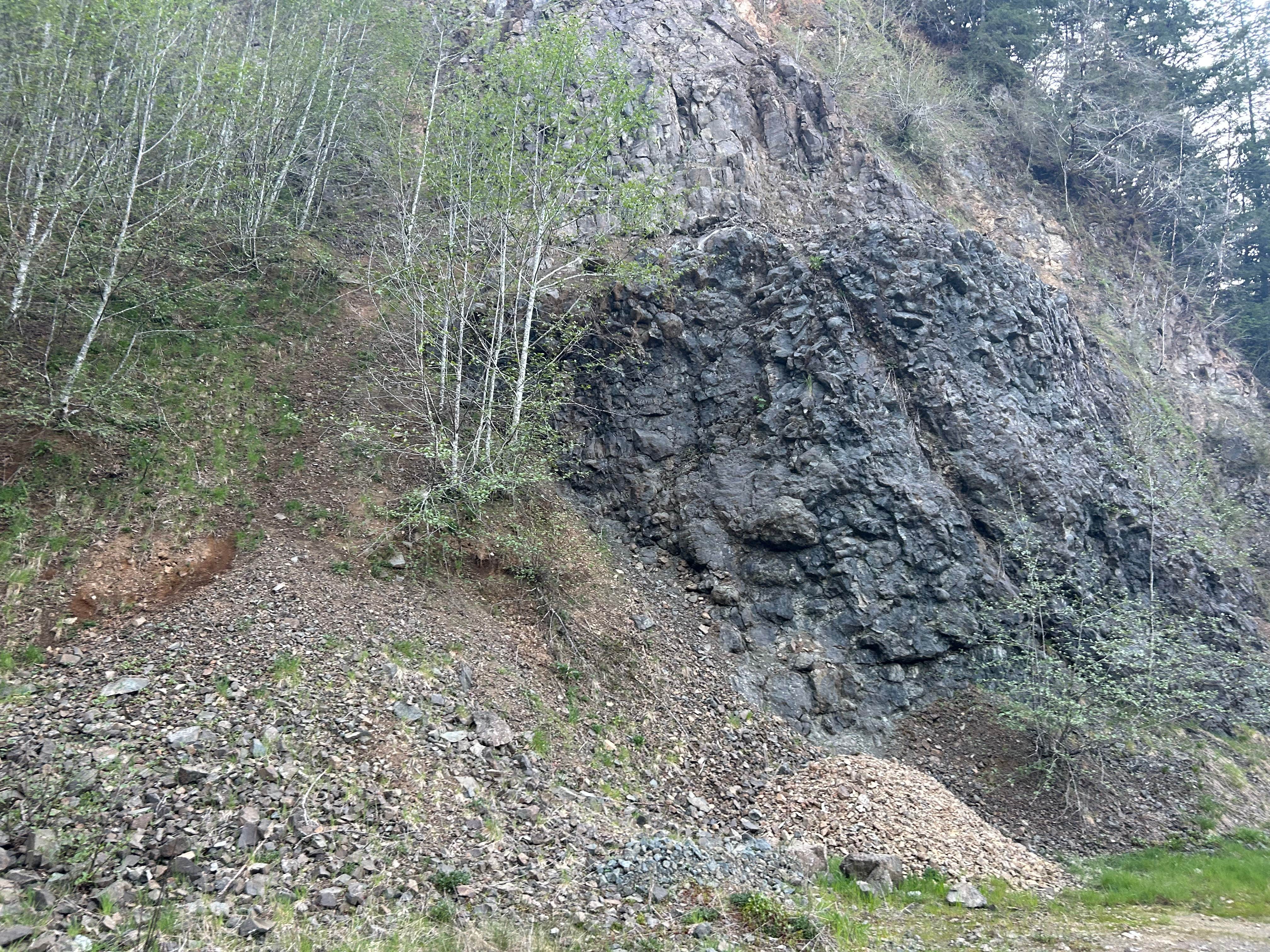 Camper-submitted photo at Trask River Campsites near Hillsboro, OR