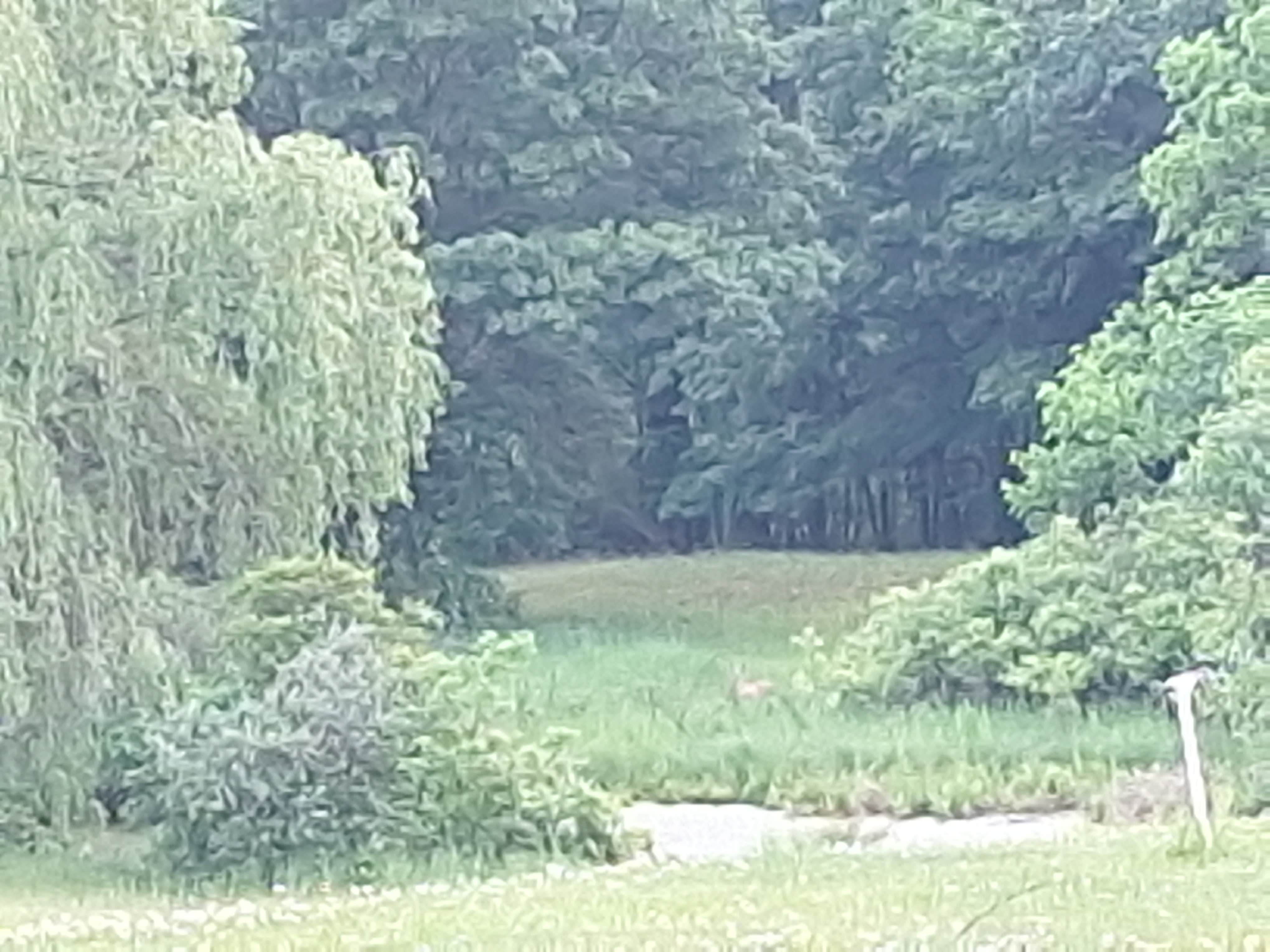 Camper-submitted photo at Travel Trailer Club of The Midwest near Charlotte, MI