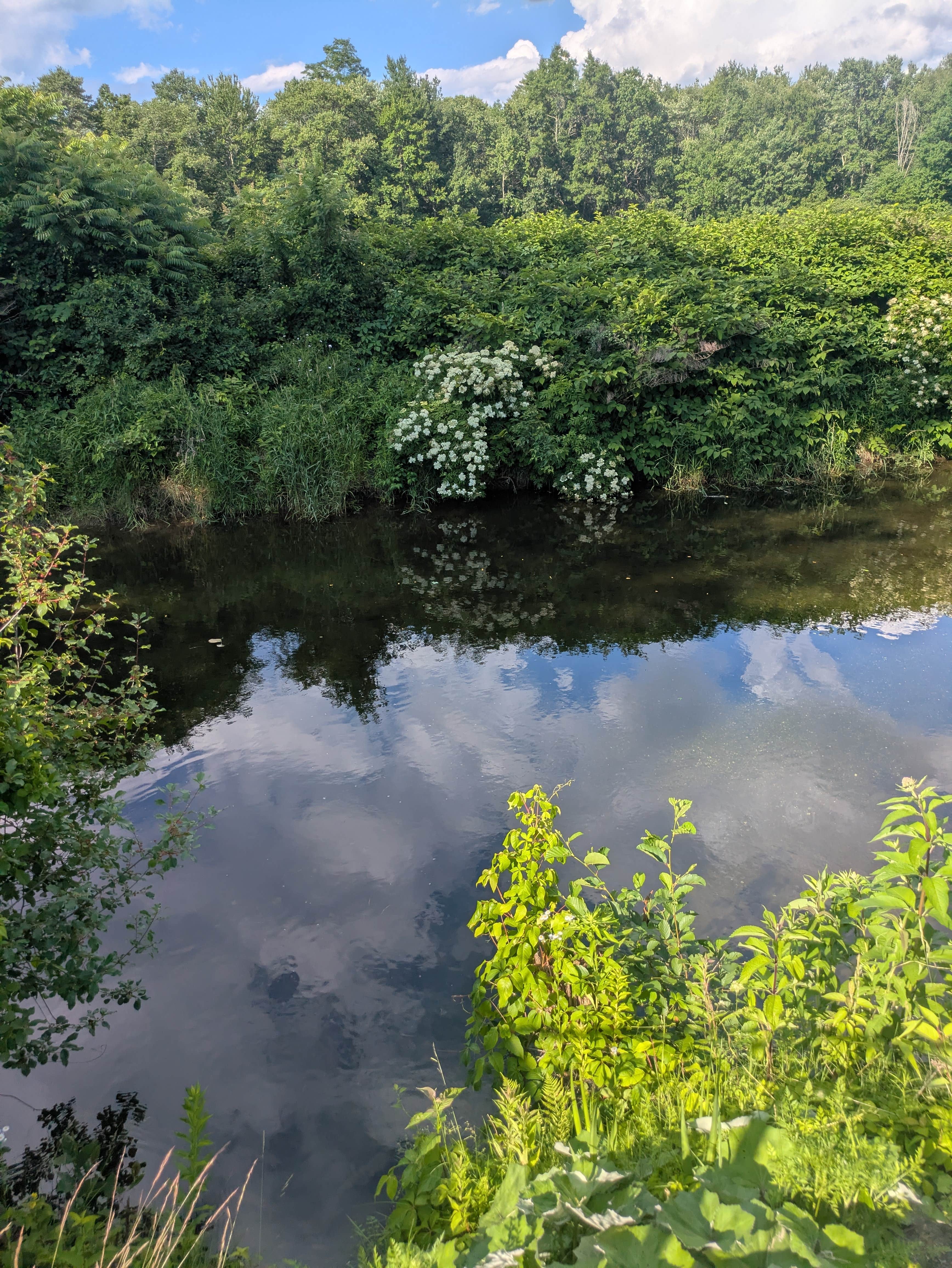 Camper-submitted photo at Travelers Woods Of New England, Inc near Northfield, MA