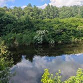 Review photo of Travelers Woods Of New England, Inc by Greg S., July 8, 2026