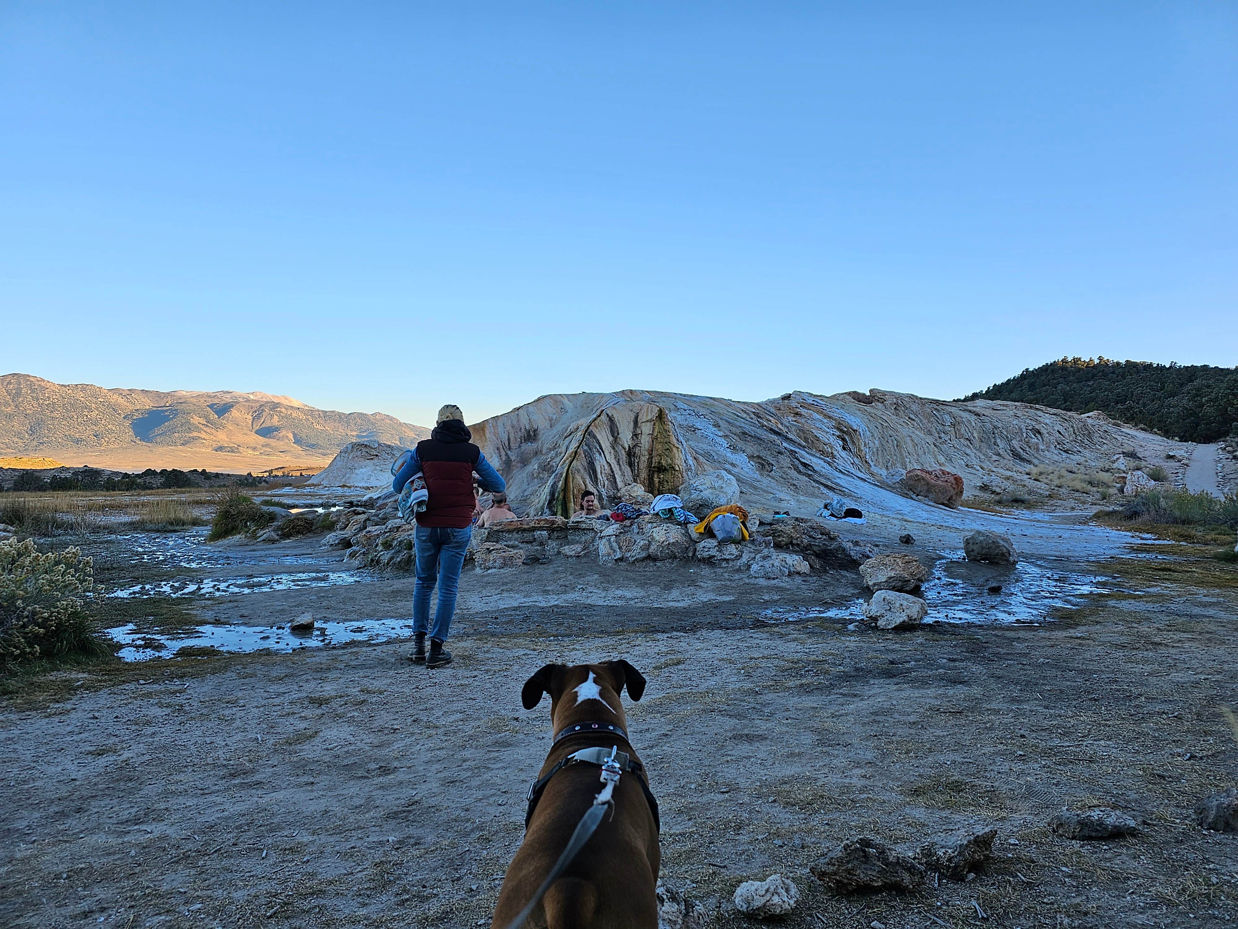 Michelle H.'s photo of camping with pets at Bridgeport Travertine Hot Springs Dispersed near Bridgeport, CA