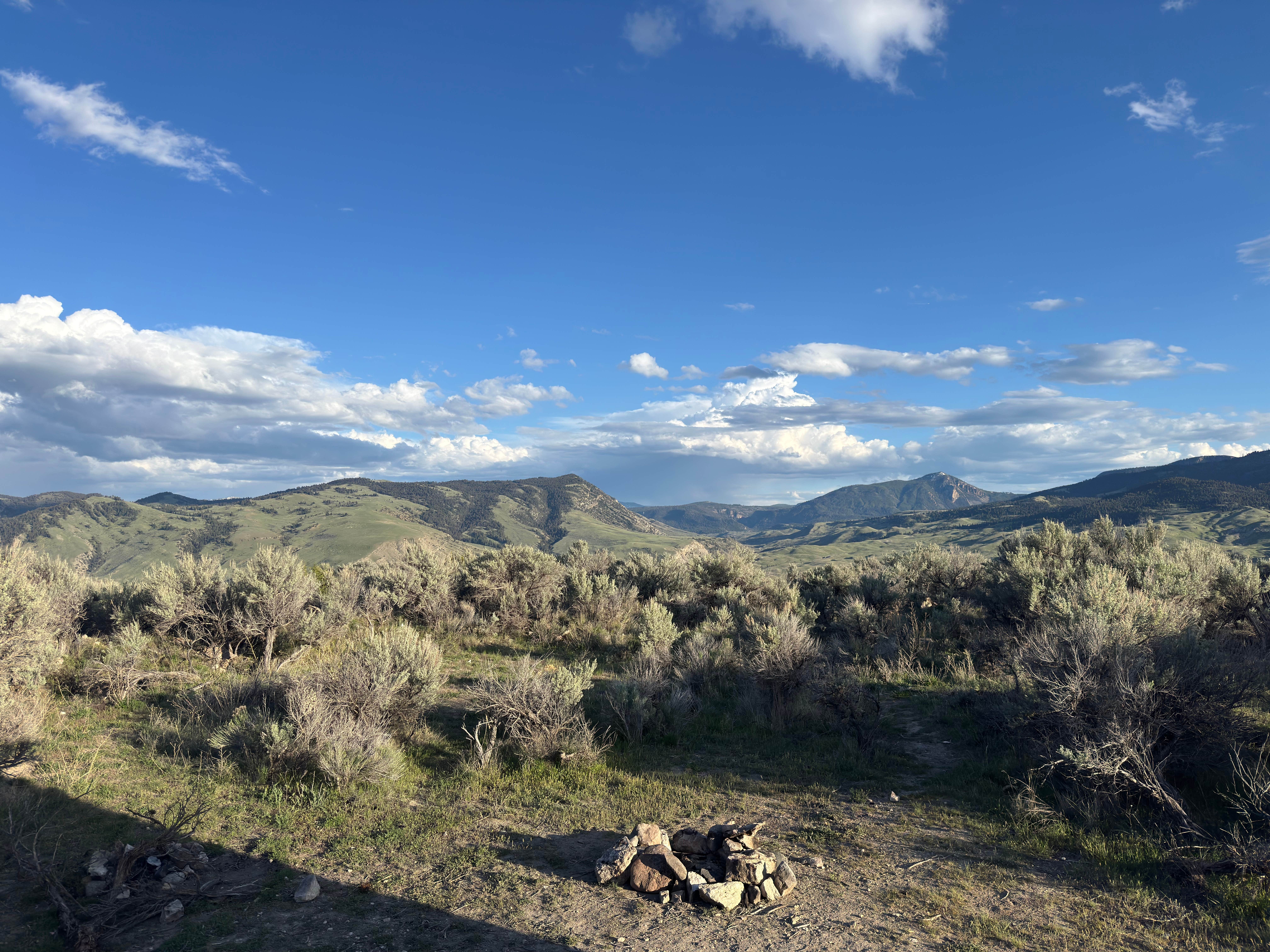 Whitley J.'s photo of a dispersed camping area at Travertine Road Dispersed - Yellowstone in Montana