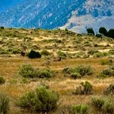 Review photo of Travertine Road Dispersed - Yellowstone by mel B., August 14, 2024