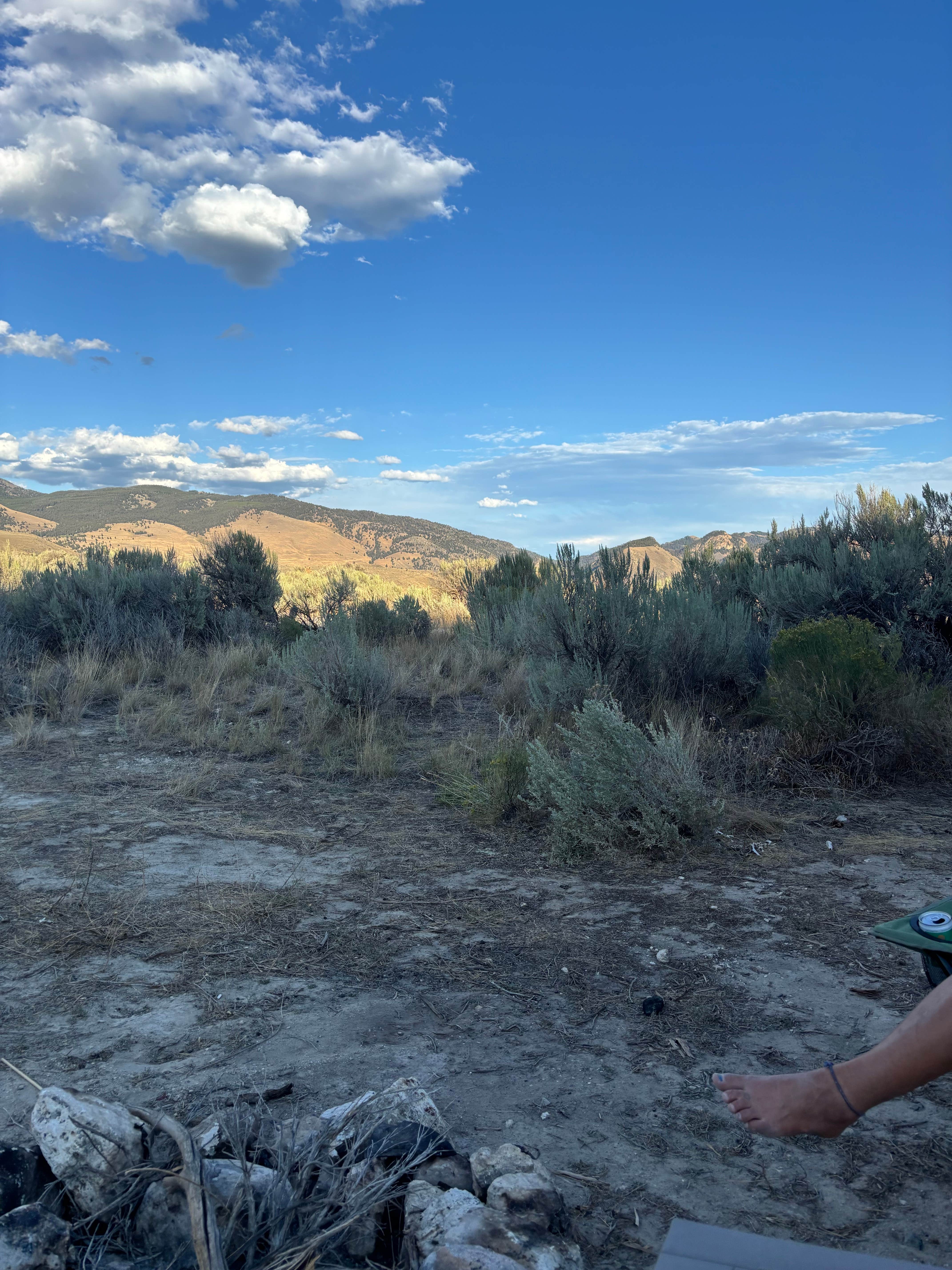 Kendra T.'s photo of a dispersed camping area at Travertine Road Dispersed - Yellowstone near Bozeman, MT