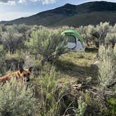 Review photo of Travertine Road Dispersed - Yellowstone by Andrew K., May 28, 2024