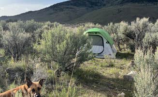 Andrew K.'s photo of tent camping at Travertine Road Dispersed - Yellowstone near Macks Inn, ID
