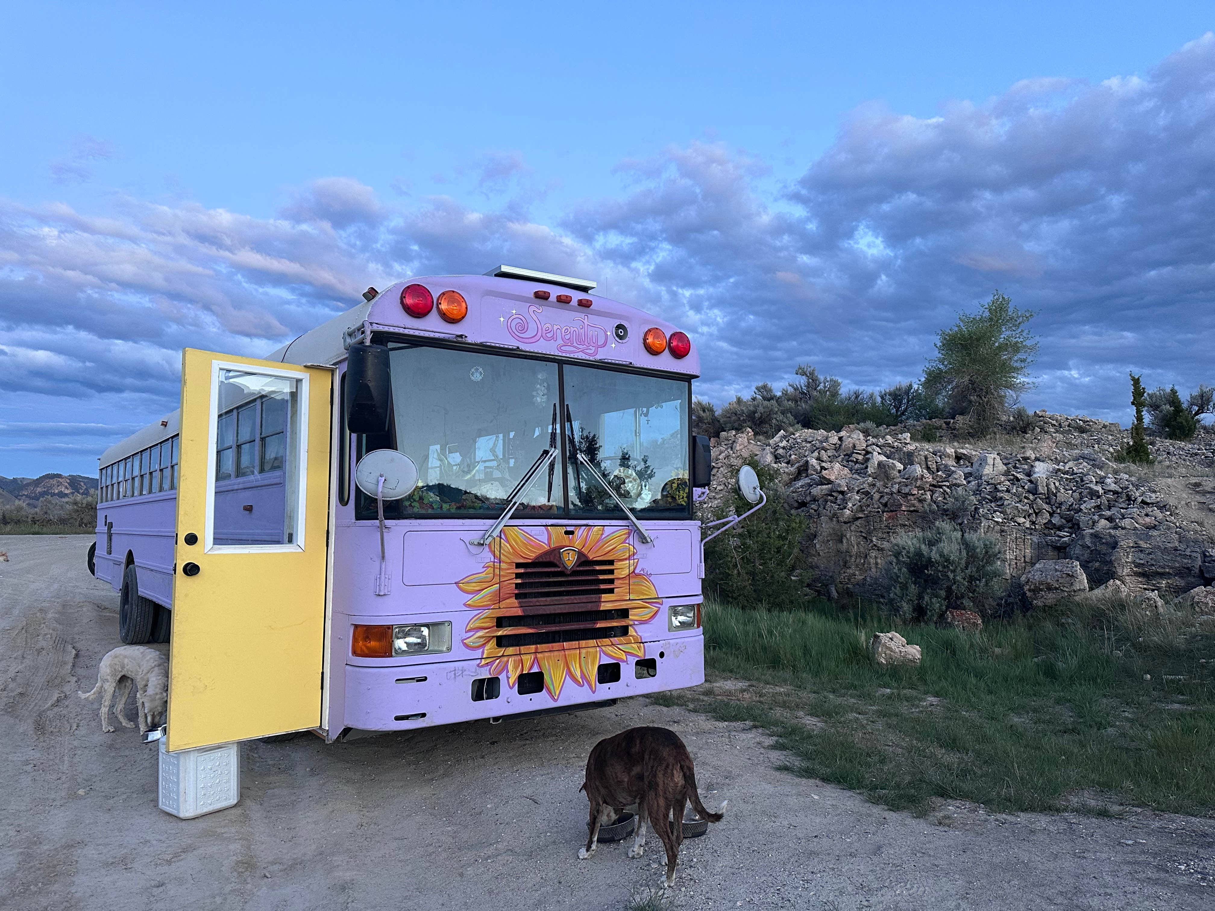 Zoe Rae S.'s photo of camping with pets at Travertine Road Dispersed - Yellowstone in Montana