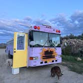 Review photo of Travertine Road Dispersed - Yellowstone by Zoe Rae S., June 14, 2026