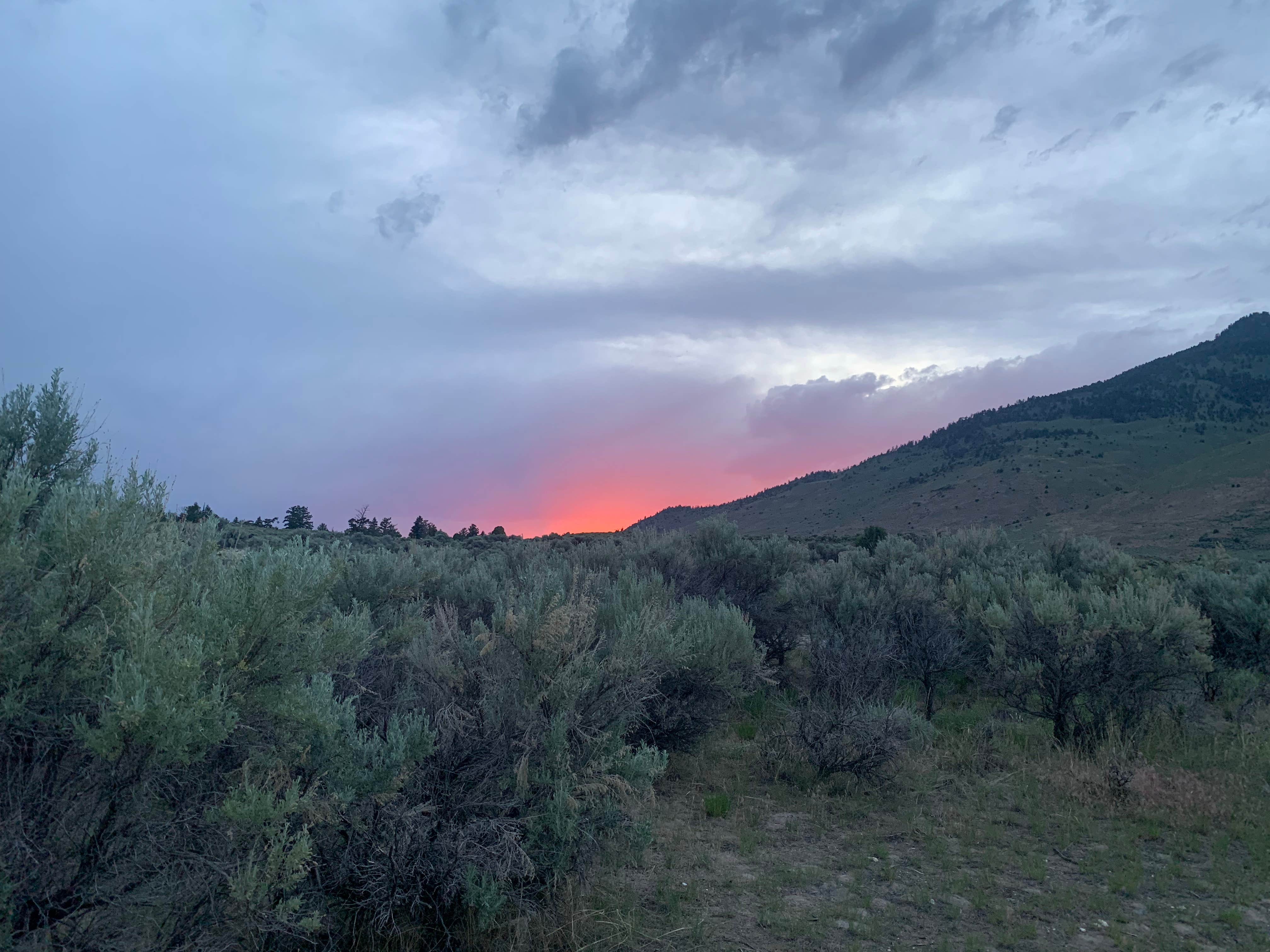 Suzie K.'s photo of a dispersed camping area at Travertine Road Dispersed - Yellowstone near Cameron, MT