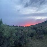 Review photo of Travertine Road Dispersed - Yellowstone by Suzie K., June 20, 2025