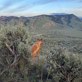 Review photo of Travertine Road Dispersed - Yellowstone by Andrew K., May 28, 2024