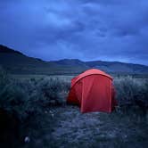 Review photo of Travertine Road Dispersed - Yellowstone by Mackenzie S., May 16, 2026