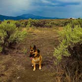 Review photo of Travertine Road Dispersed - Yellowstone by mel B., August 14, 2024