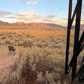 Review photo of Travertine Road Dispersed - Yellowstone by Shawn R., September 12, 2026