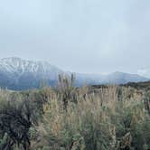 Review photo of Travertine Road Dispersed - Yellowstone by Mackenzie S., May 16, 2026