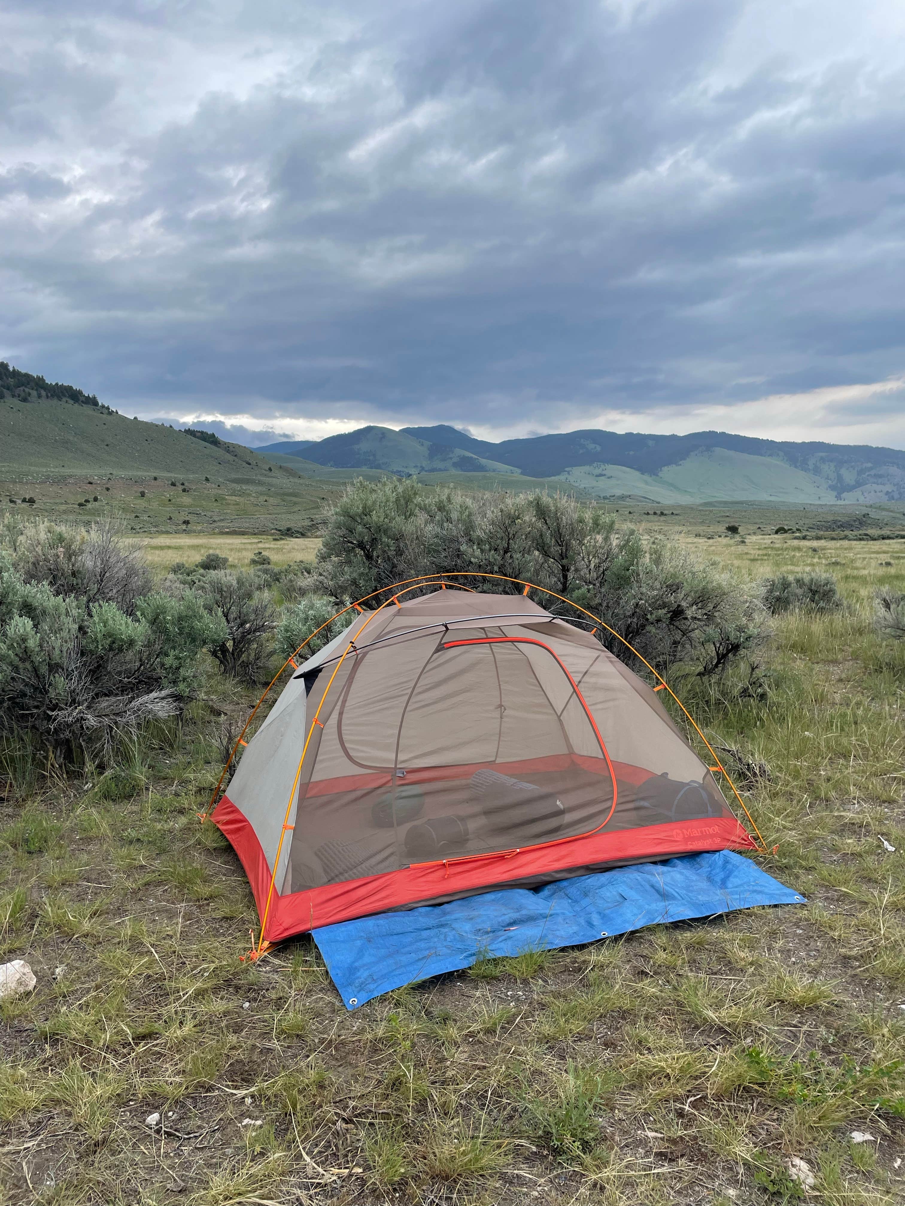 Nicki S.'s photo of tent camping at Travertine Road Dispersed - Yellowstone in Montana
