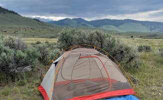 Nicki S.'s photo at Travertine Road Dispersed - Yellowstone near Custer Gallatin National Forest