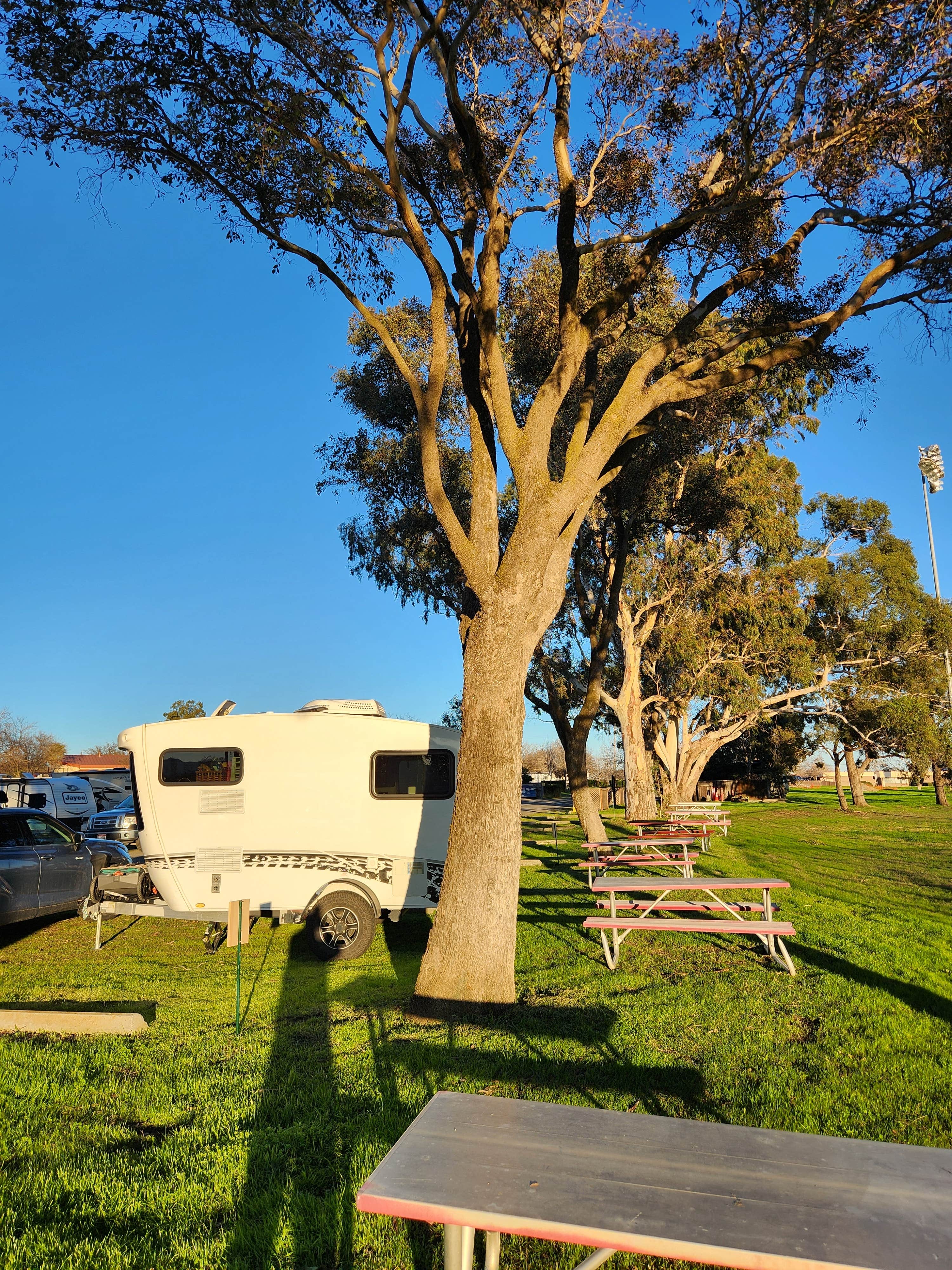 Camper-submitted photo at Travis AFB FamCamp near Bay Point, CA