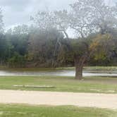 Review photo of Tree Cabins RV Resort by Brian K., October 4, 2026