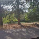 Review photo of Tree Of Heaven Campground by S.Allan , October 10, 2026