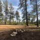 Tres Piedras Camp