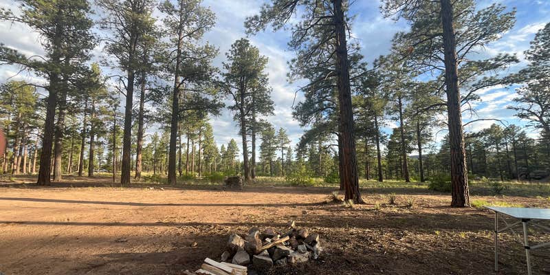 Camper submitted image from Tres Piedras Camp